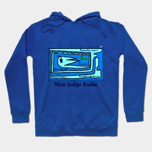 Blue Indigo Snake Hoodie